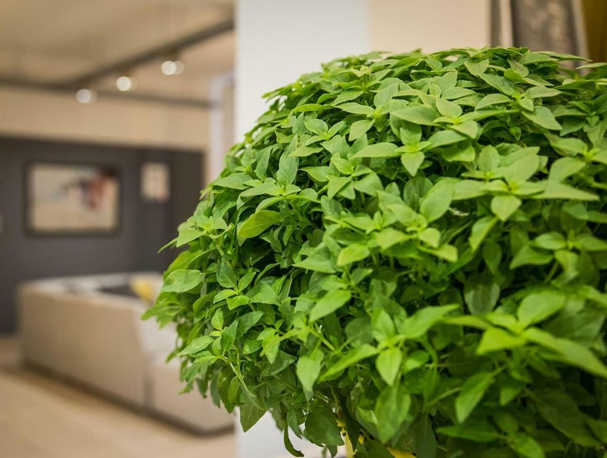 아테네 Renovated Loft At The Center Of Monastiraki 아파트 외부 사진